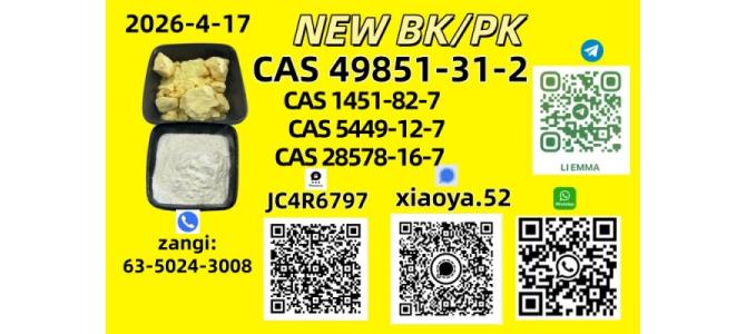 NEW BMK CAS 28578-16-7CAS 5449-12-7CAS 49851-31-2In Stock